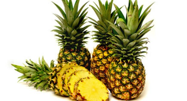 Can pineapples save us from Global Warming? Scientists unlock genetic secrets