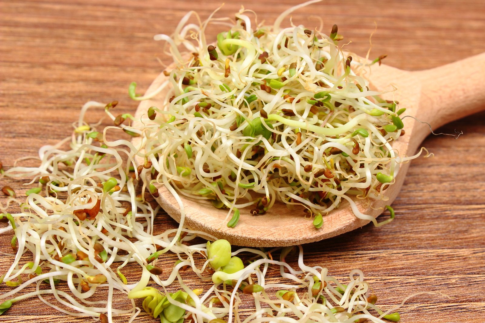 salmonella-outbreak-in-4-states-linked-to-alfalfa-sprouts-from-kansas