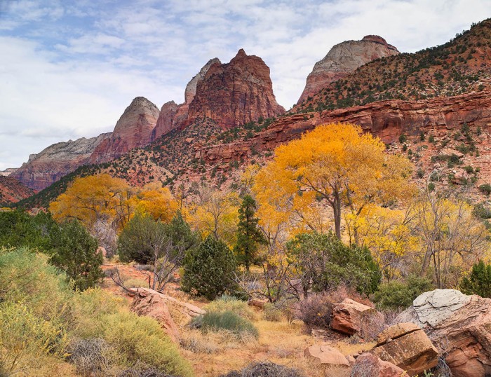 Ancient landslide formed Zion National Park: study